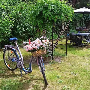 Retro Albergue